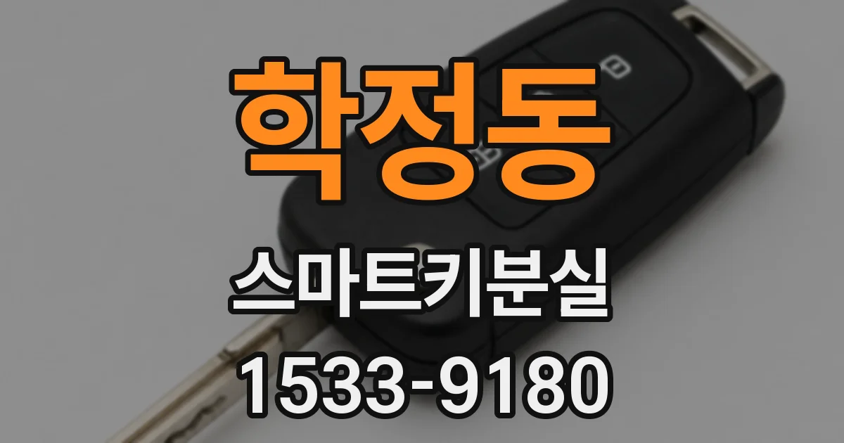 학정동 스마트키분실