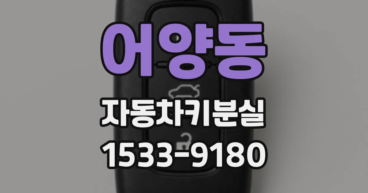 어양동 자동차키분실