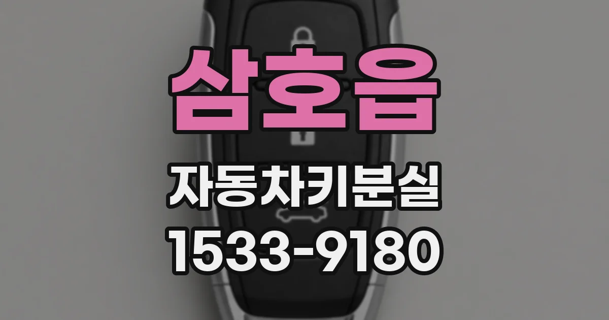 삼호읍 자동차키분실