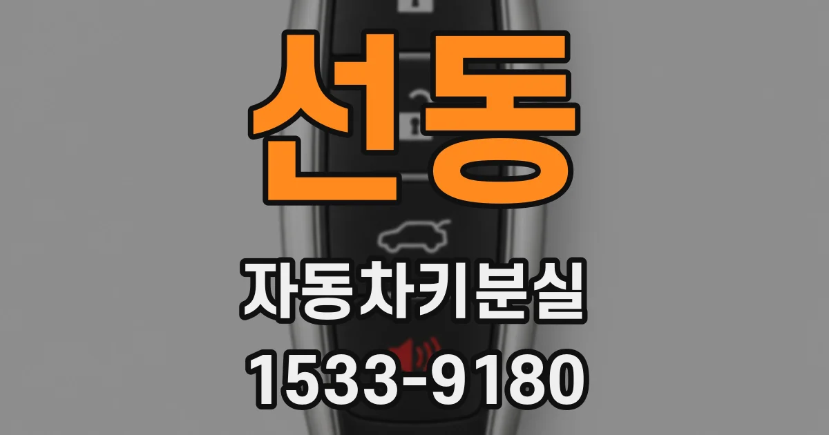 선동 자동차키분실