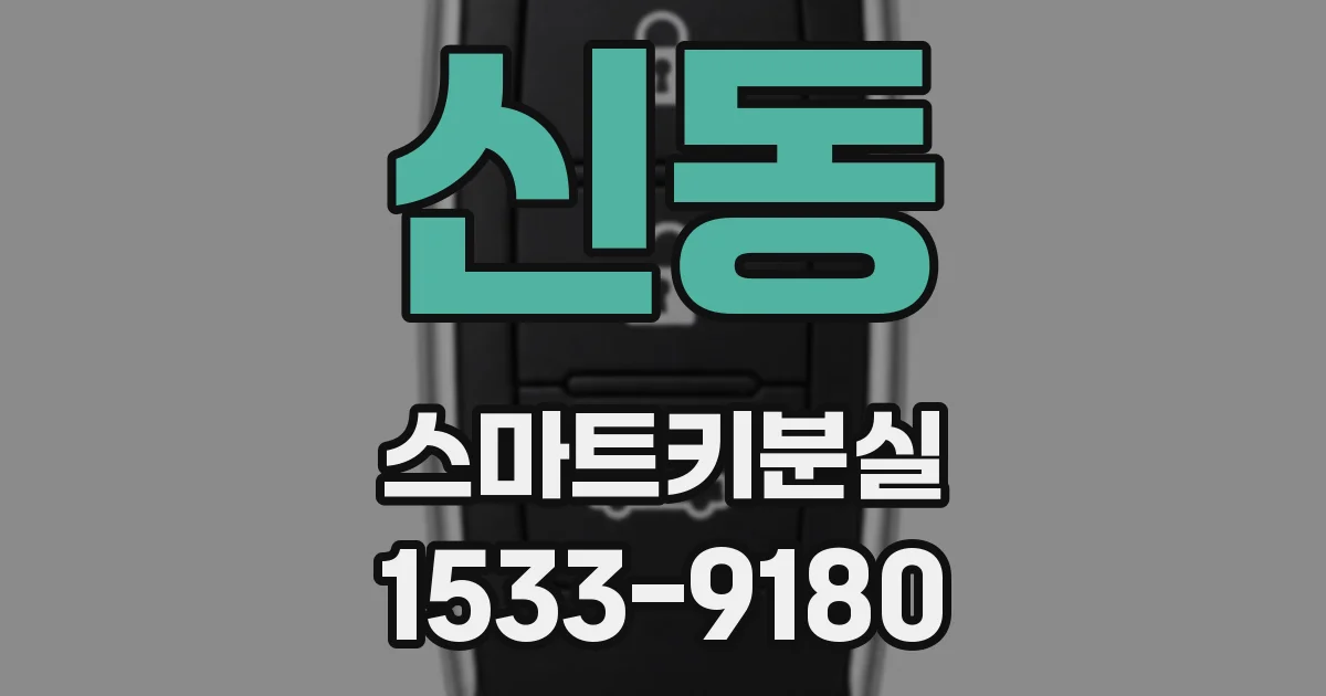 신동 스마트키분실