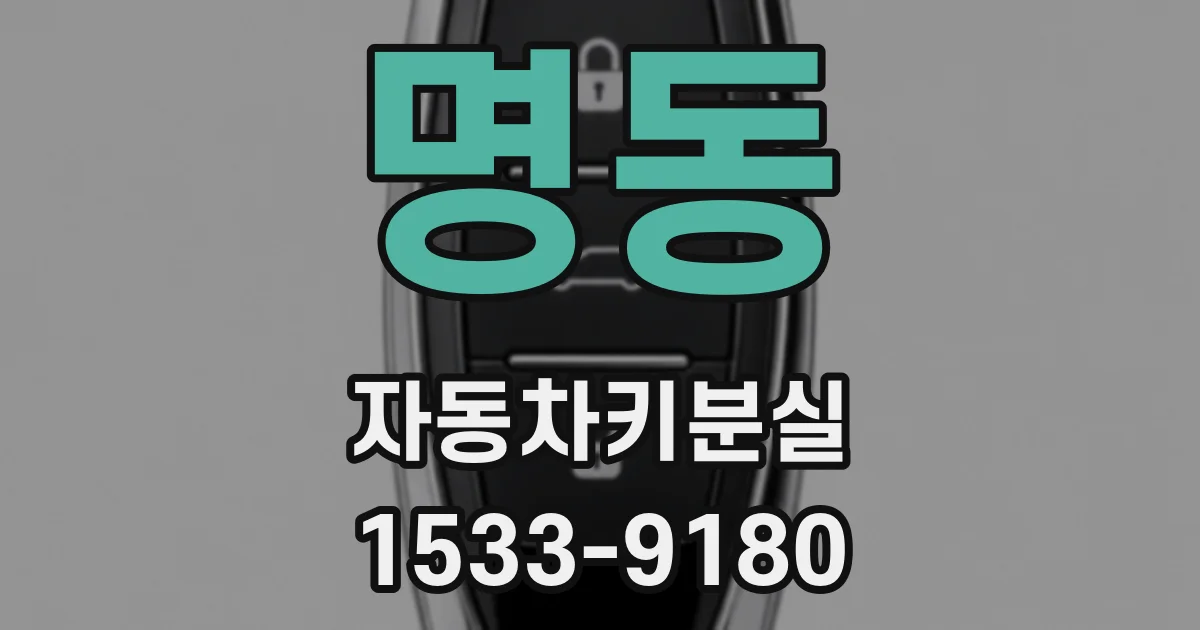 명동 자동차키분실
