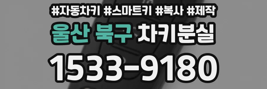 울산 북구 차키분실