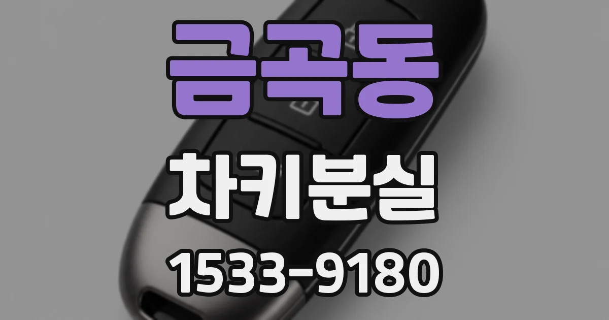 금곡동 차키분실