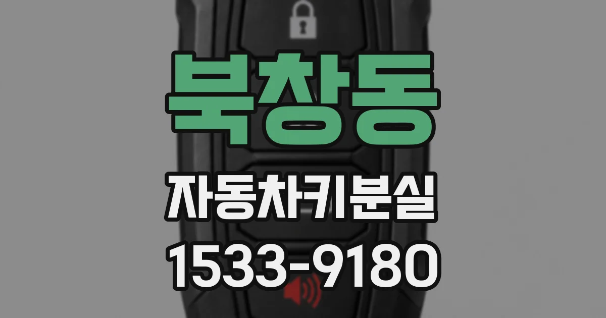 북창동 자동차키분실