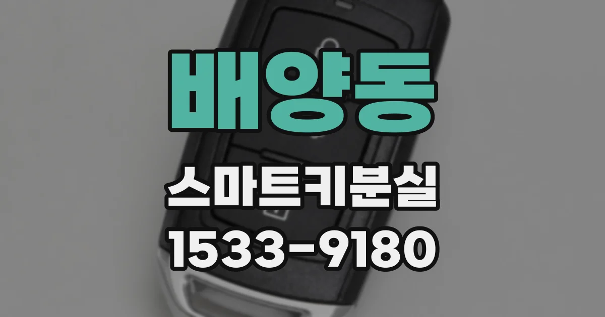 배양동 스마트키분실