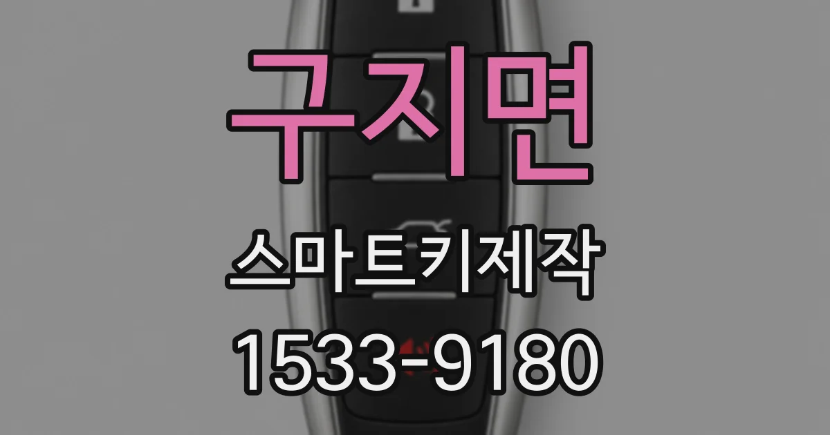 구지면 스마트키제작