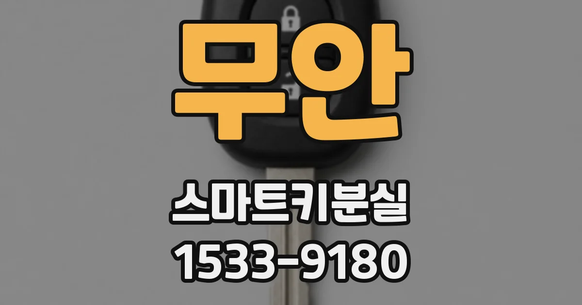무안 스마트키분실