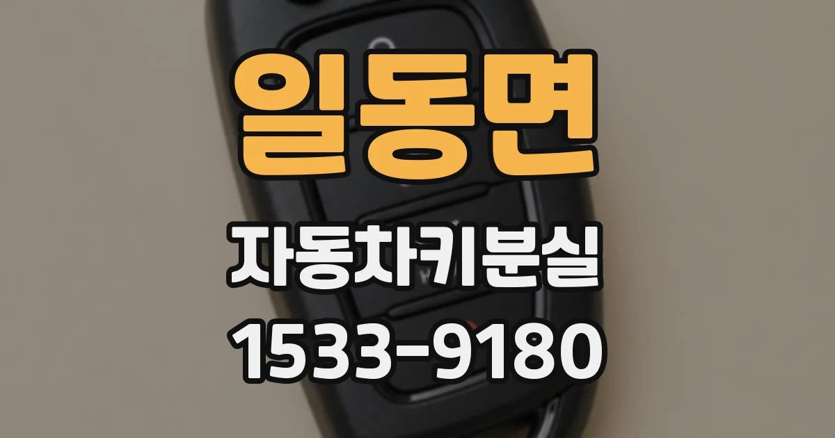 일동면 자동차키분실
