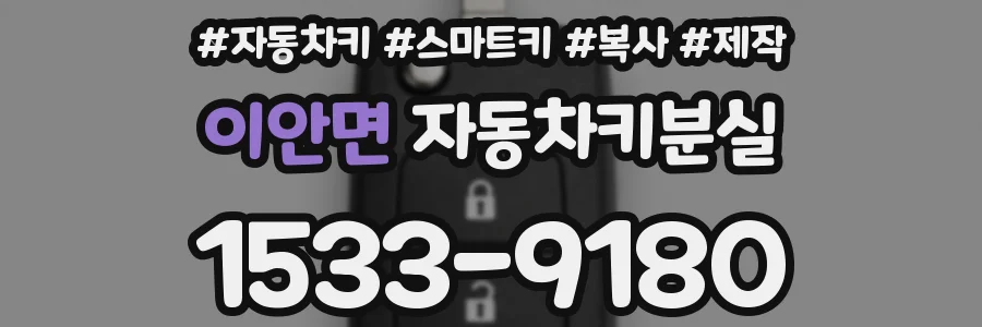 이안면 자동차키분실