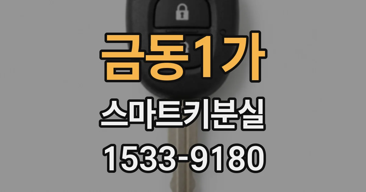 금동1가 스마트키분실