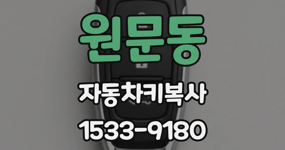 원문동 자동차키복사