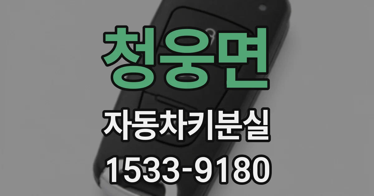 청웅면 자동차키분실