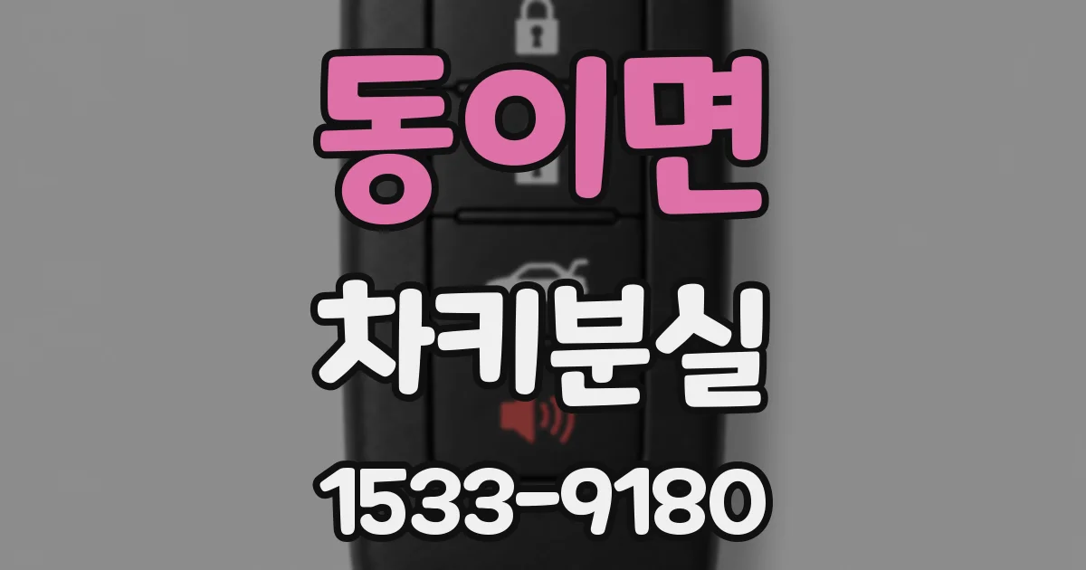 동이면 차키분실