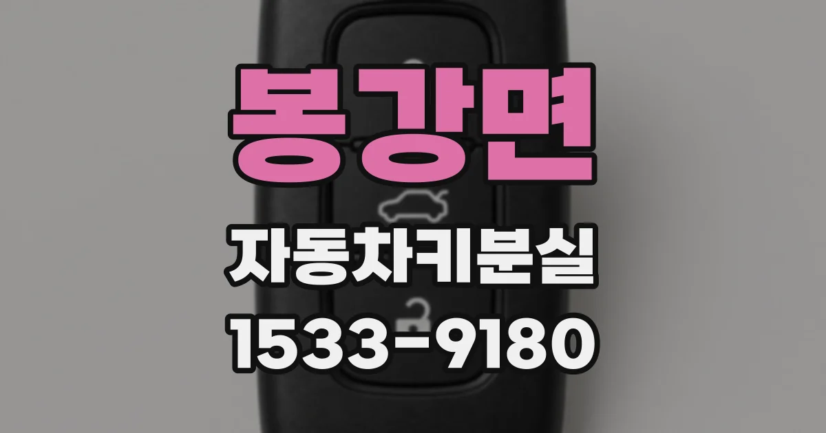 봉강면 자동차키분실
