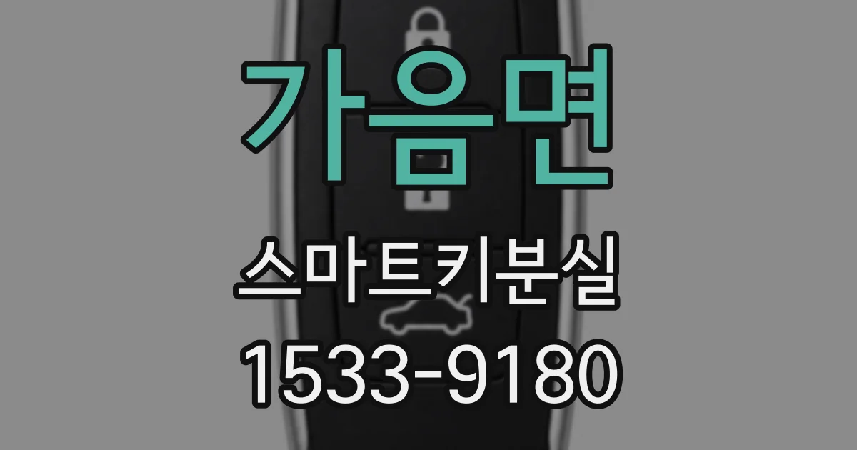 가음면 스마트키분실