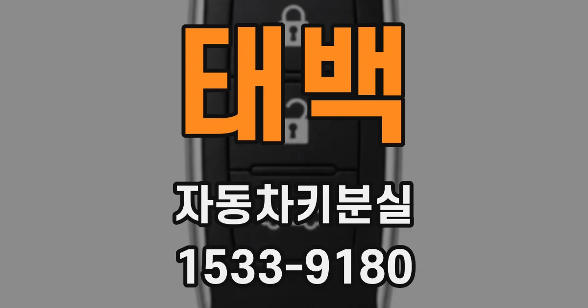 태백 자동차키분실