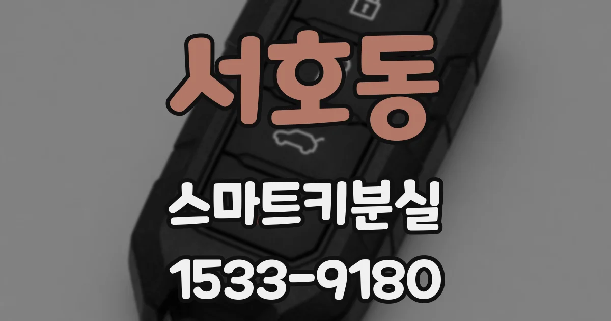 서호동 스마트키분실