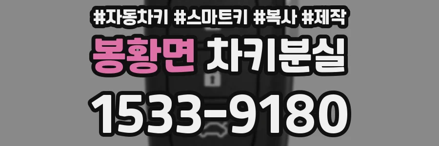 봉황면 차키분실