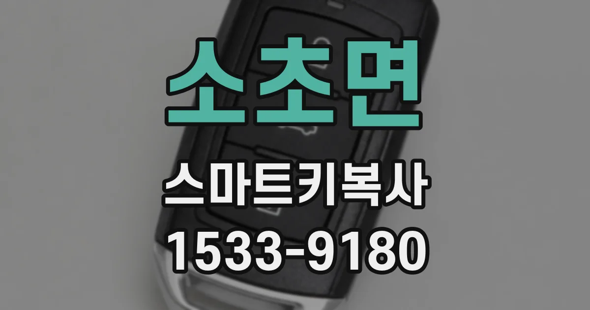 소초면 스마트키복사