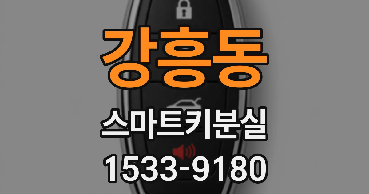 강흥동 스마트키분실