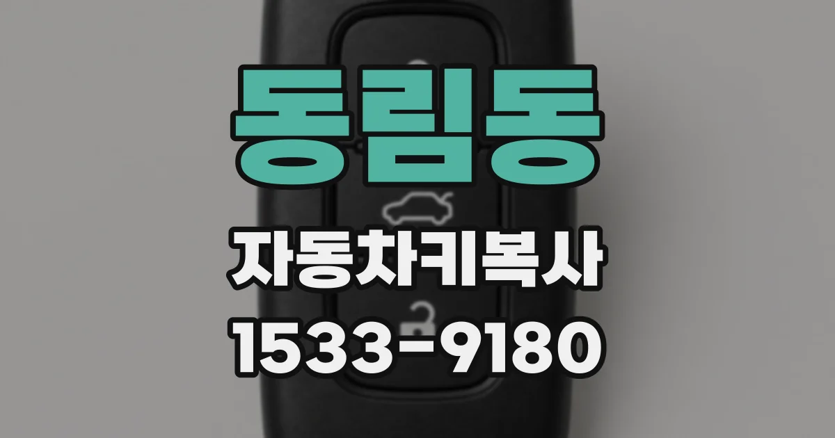 동림동 자동차키복사