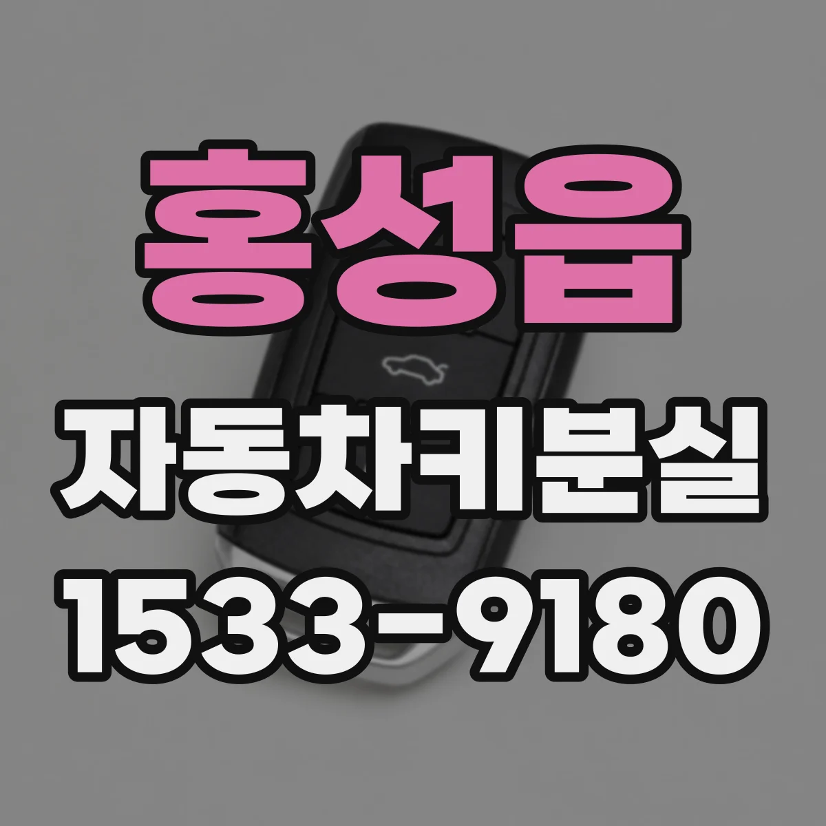 홍성읍 자동차키분실