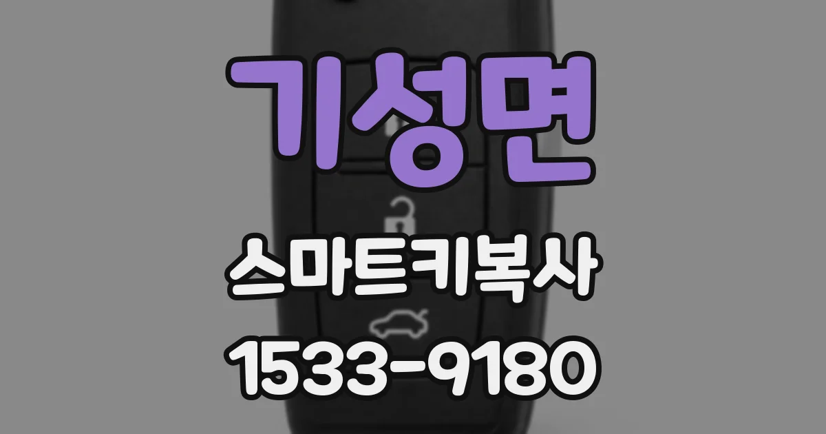 기성면 스마트키복사