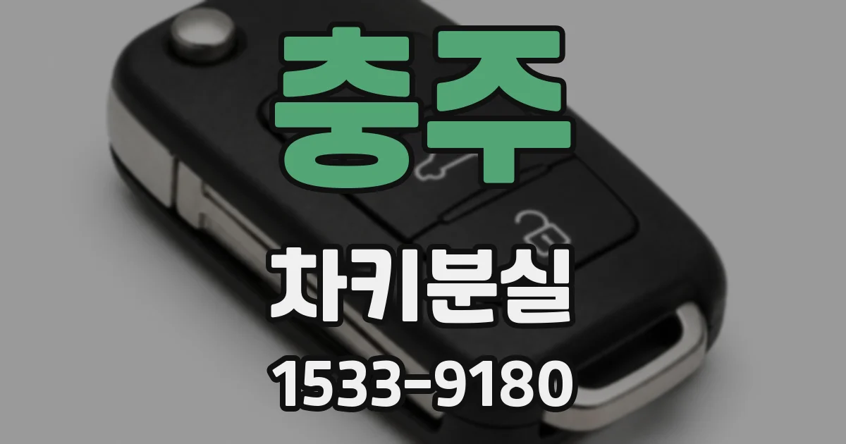 충주 차키분실
