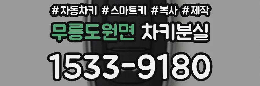 무릉도원면 차키분실