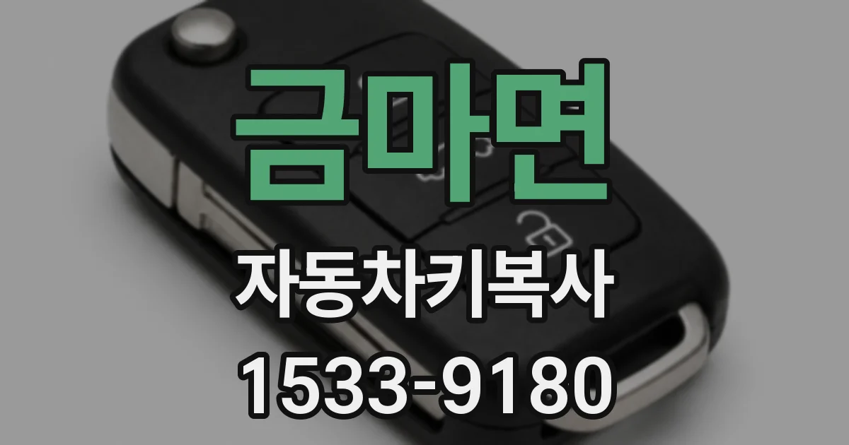 금마면 자동차키복사