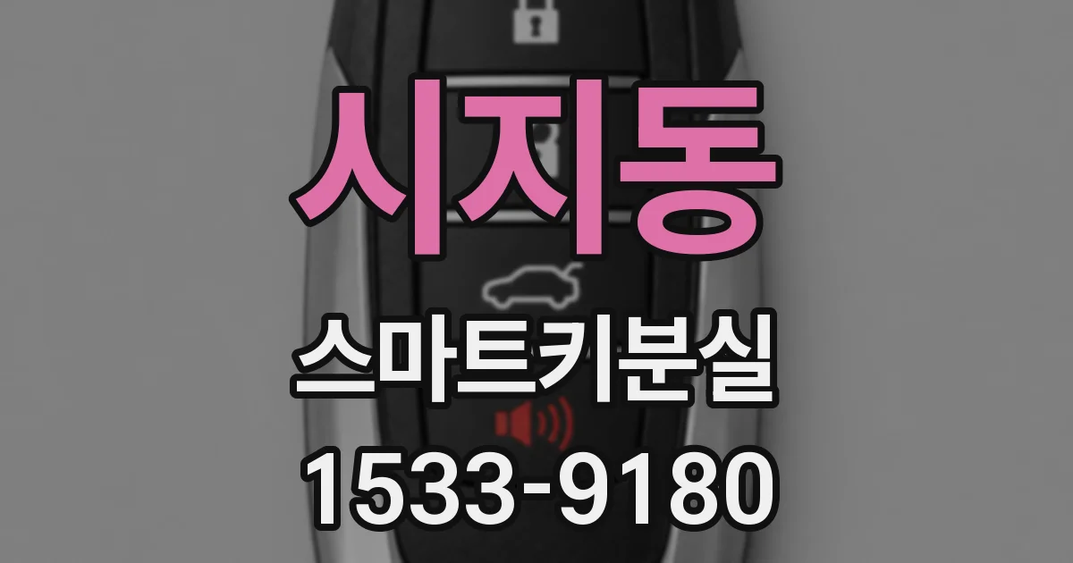 시지동 스마트키분실