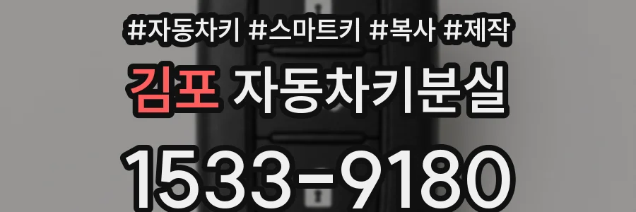 김포 자동차키분실