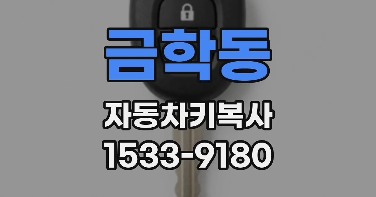 금학동 자동차키복사