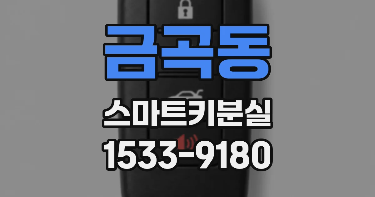금곡동 스마트키분실