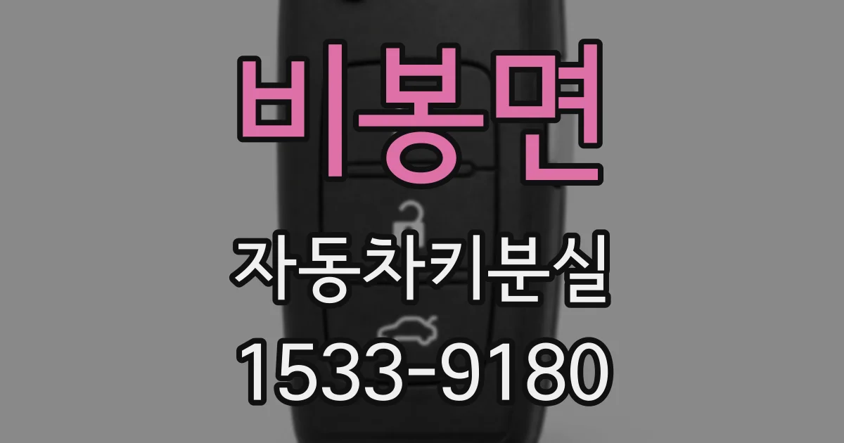 비봉면 자동차키분실