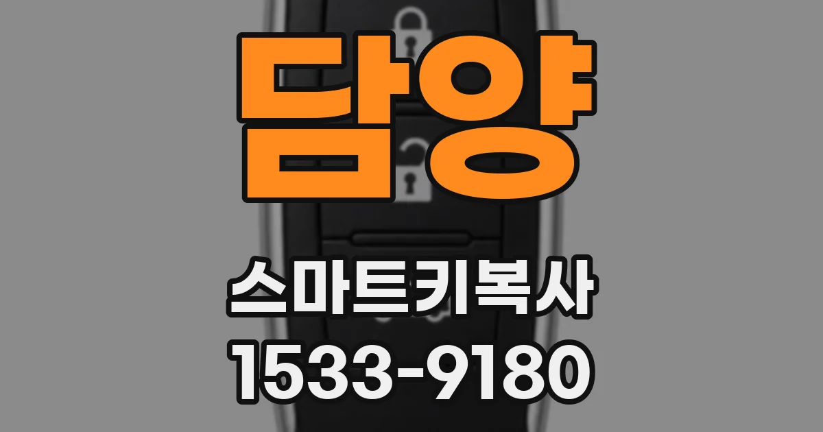 담양 스마트키복사