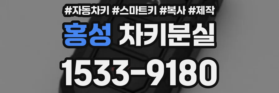 홍성 차키분실