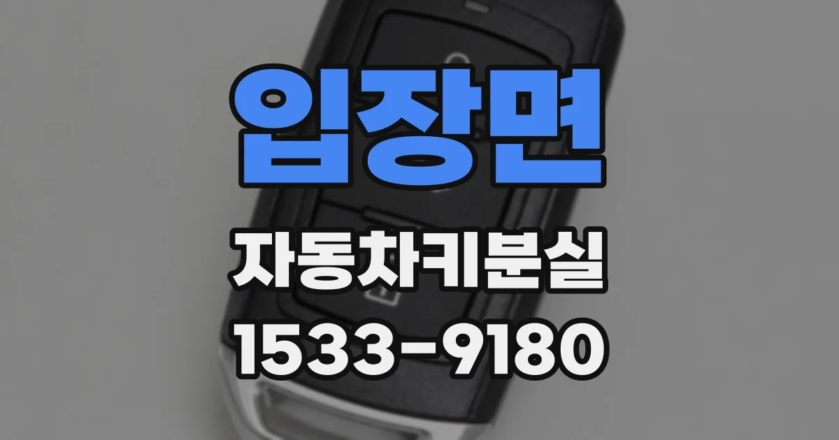 입장면 자동차키분실