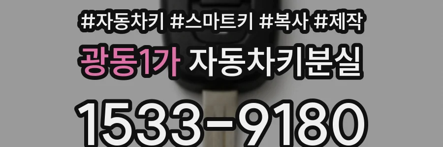 광동1가 자동차키분실