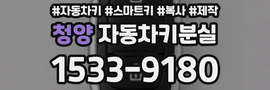 청양 자동차키분실