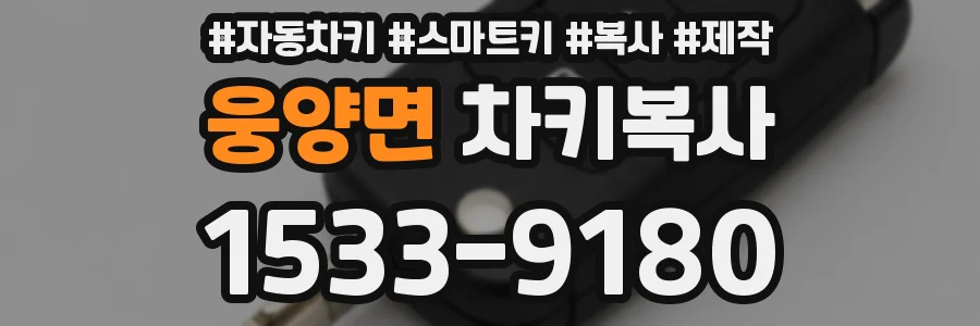 웅양면 차키복사