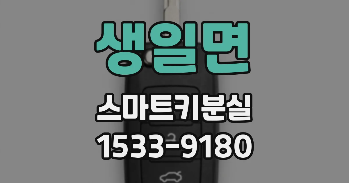 생일면 스마트키분실