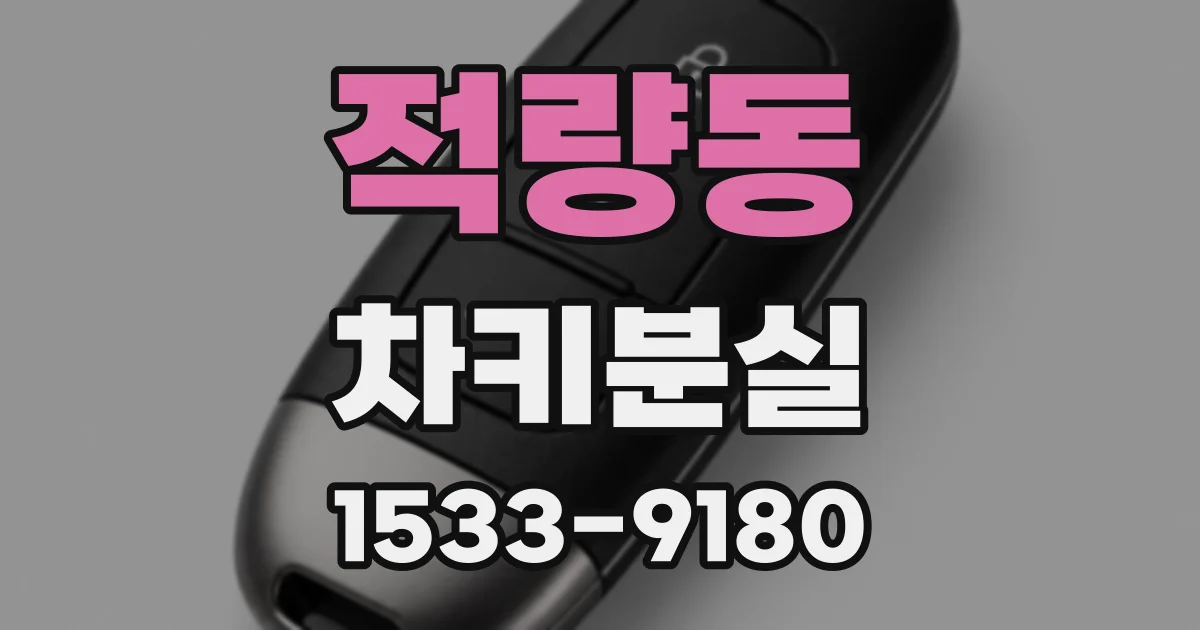 적량동 차키분실