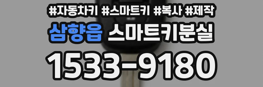 삼향읍 스마트키분실