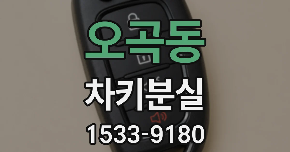 오곡동 차키분실