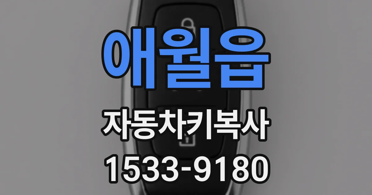 애월읍 자동차키복사