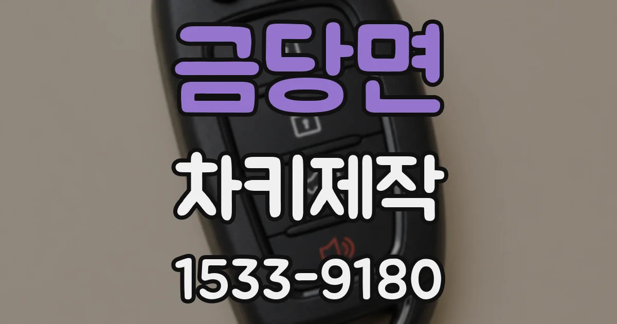 금당면 차키제작