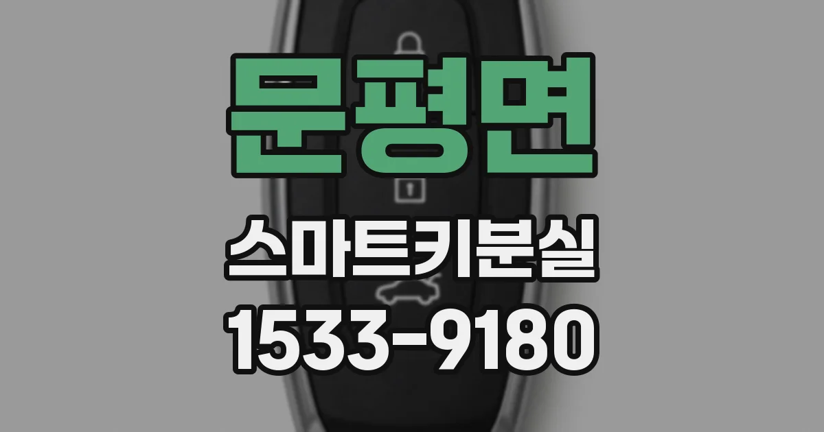 문평면 스마트키분실