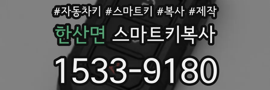 한산면 스마트키복사